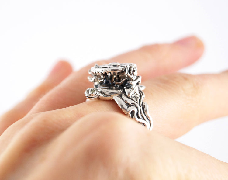 The World Turtle Ring Creation Myth Hindu Chinese Mythology Cosmic Space Fantasy Elephant Witch Skeleton Death Reaper Guitar English CosPlay